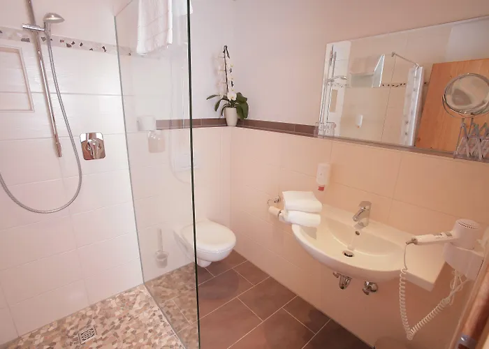 Гостевой дом Schweizerhaus Garni 3*